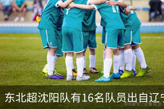 东北超沈阳队有16名队员出自辽宁铁人青训，前两场球队一共进4球